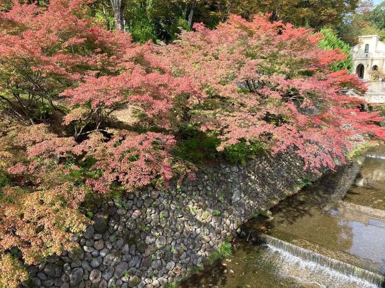 川とチャペル