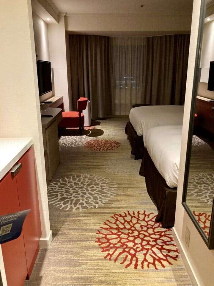 入口から見た客室