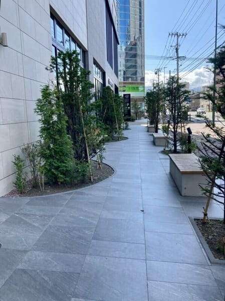 ホテル前の通り