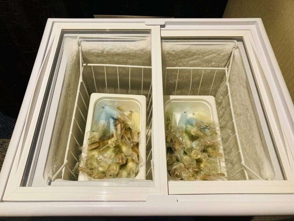 アイスカンディ