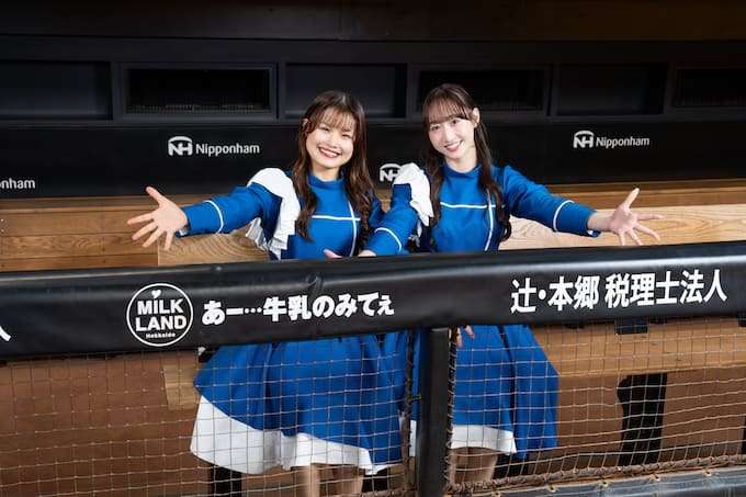 ファイターズガール