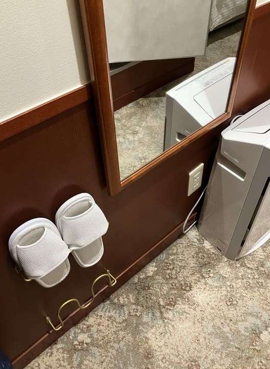 スリッパと空気清浄機